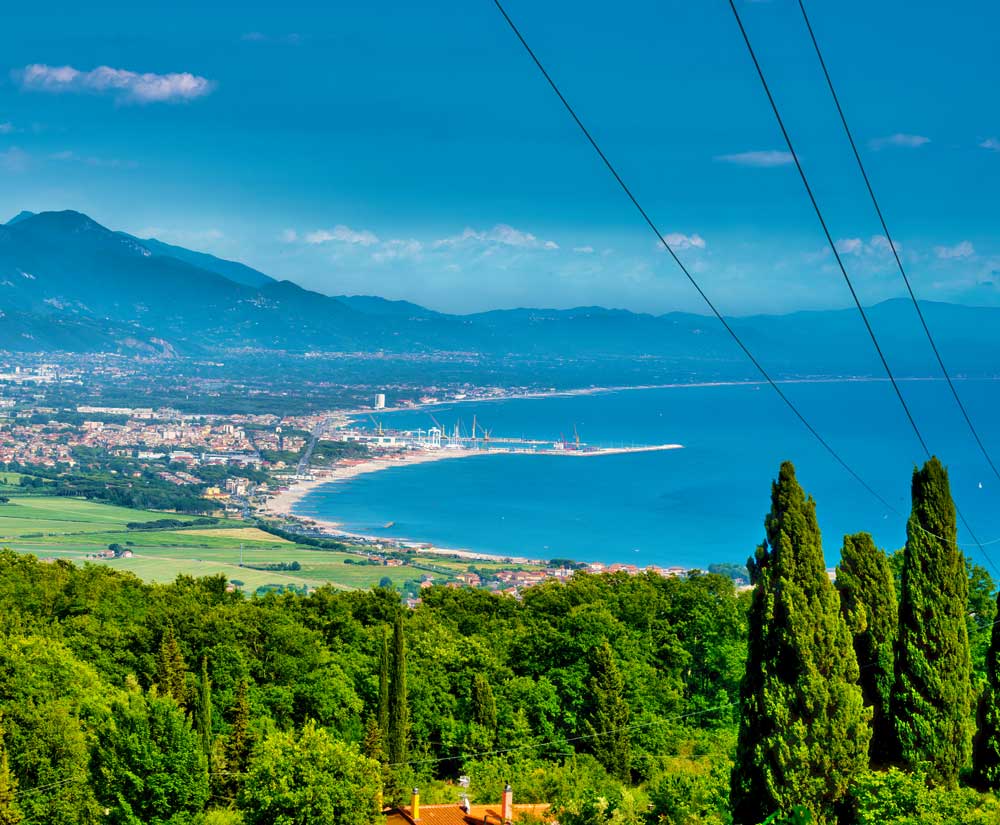 carrara